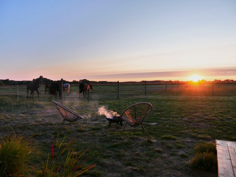 zone brasero avec vue sur les chevaux et la campagne au coucher du soleil. Des chaises de jardin sont installées autour du feu de camp encore fumant