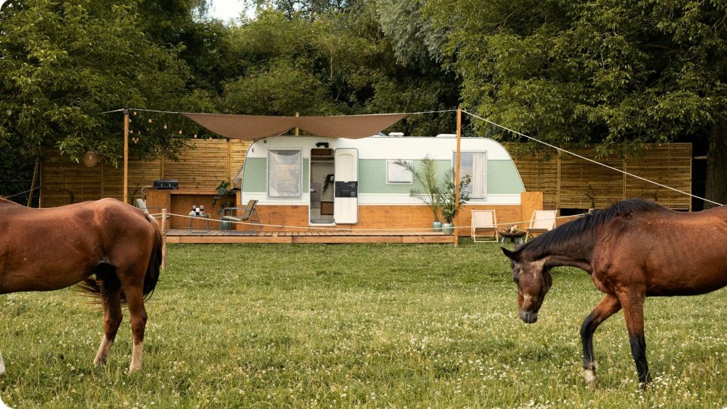vue d'ensemble de la première tiny house horizon, à la Métairie. La tiny house est à l'arrière plan dans un pré, entouré par un troupeau de chevaux au premier plan